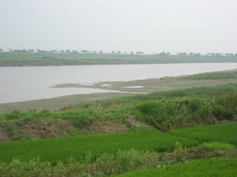 Photo 5. Levees and floodplain of ManGyeong River (만경강).